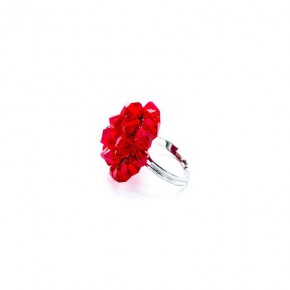 Ring  R5