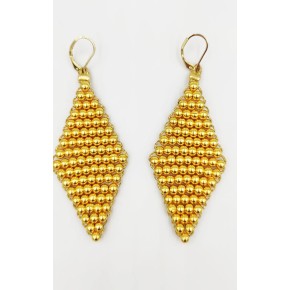 Earrings Z53